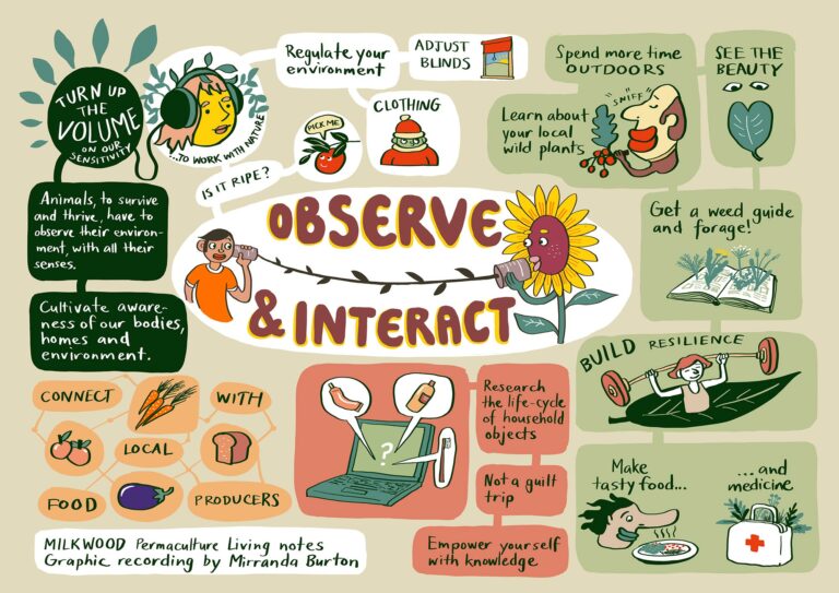 What is permaculture? - notes from the Permaculture Living course ...