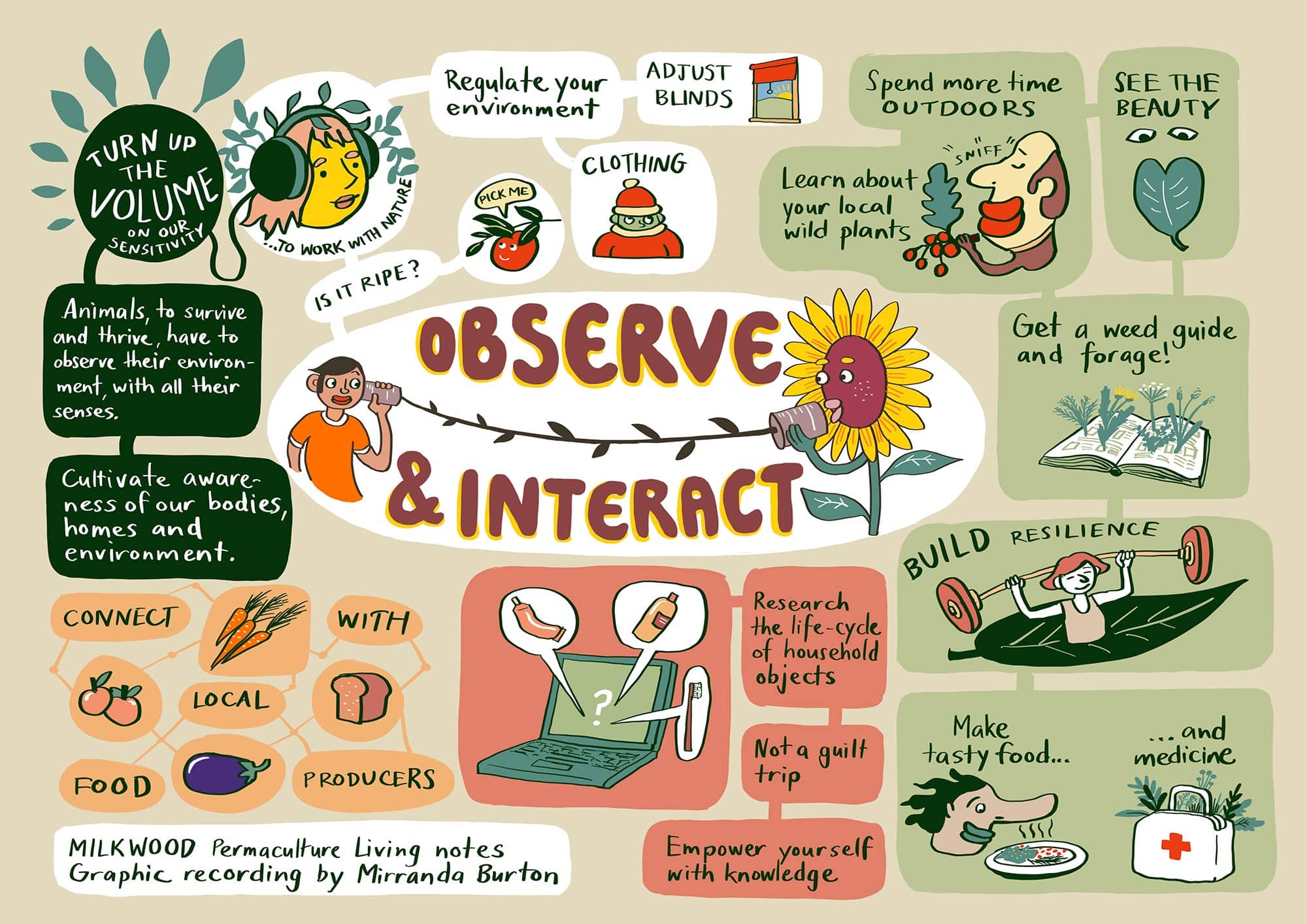 Permaculture principle #1 - Observe and Interact