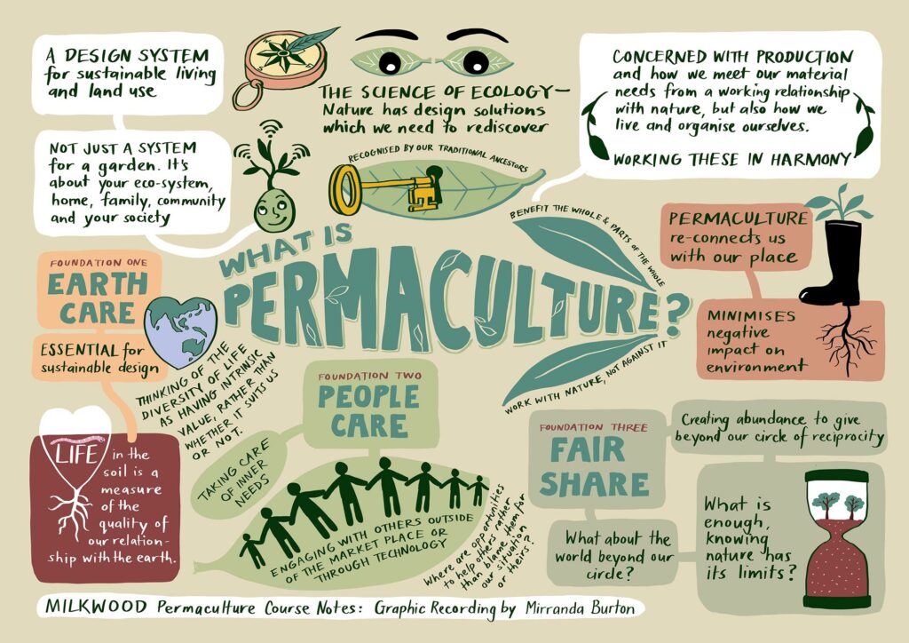 What is permaculture? notes from the Permaculture Living course