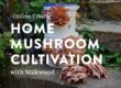 Home-Mushroom-Cultivation-course-launch