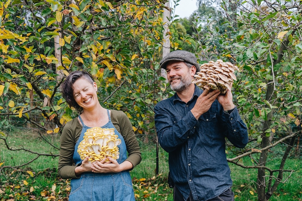 Kirsten Bradley and Nick Ritar - online permaculture courses