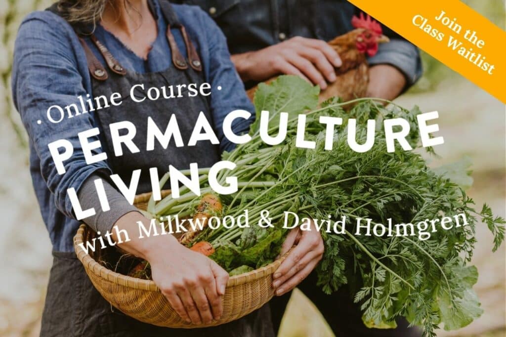 Courses Milkwood permaculture courses, skills + stories