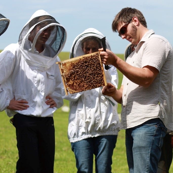 Tim teaching a natural beekeeping course