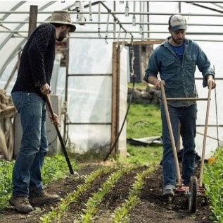 Urban farming masterclasses