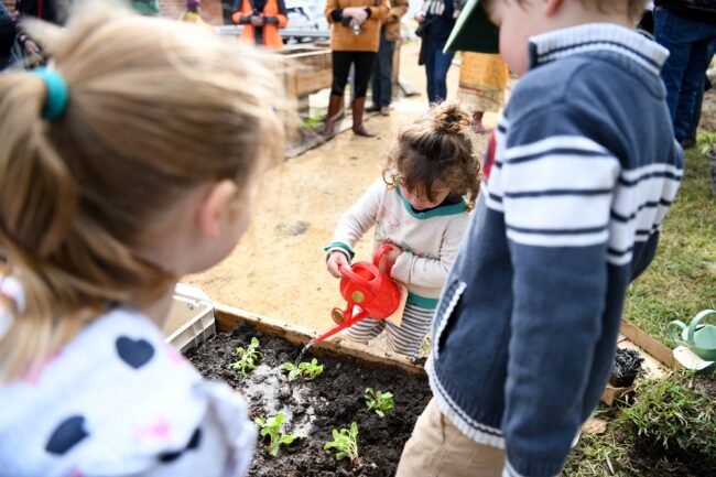 Children planting veggies at the Nundle Community Garden.