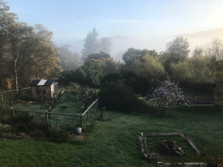 A misty morning over the garden and orchard