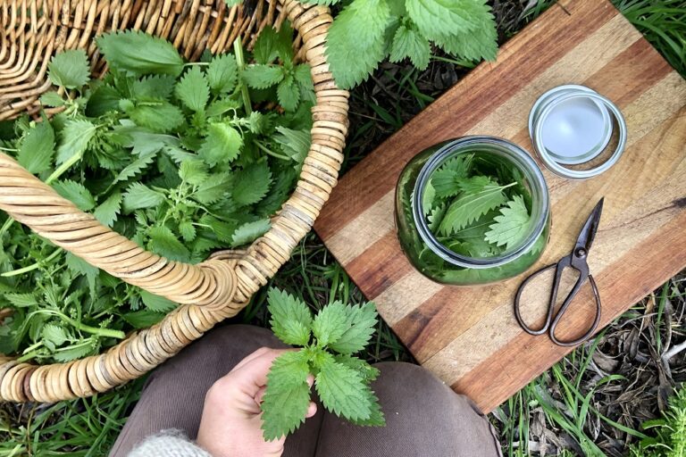 7.-Herbal-vinegar-set-up-with-me-kneeling