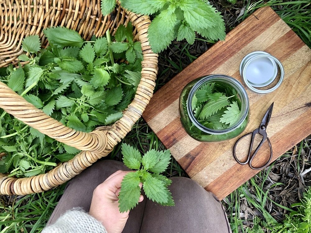 7.-Herbal-vinegar-set-up-with-me-kneeling