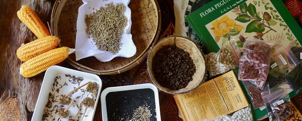 Get started with seed saving