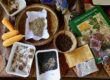 Get started with seed saving