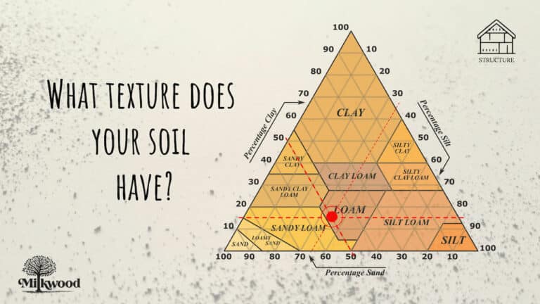 How To Build Healthy Soil for Your Best-Ever Veggies - Milkwood
