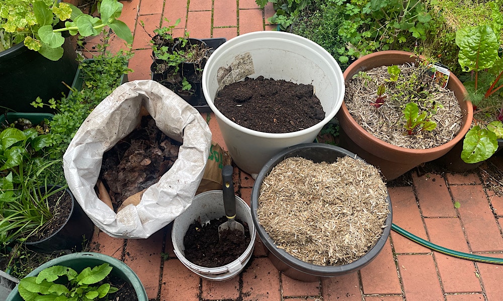 No-Dig Pots: DIY Way to Grow Loads of Veggies In Containers - Milkwood