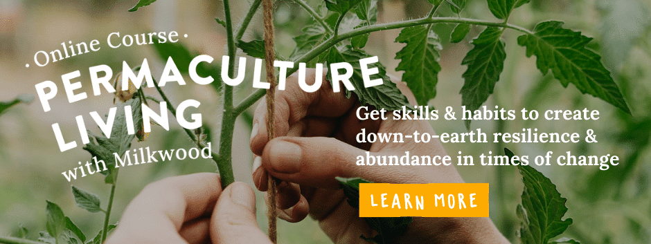 Learn more about the Milkwood Permaculture Living online course