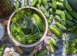 How to pickle workshops