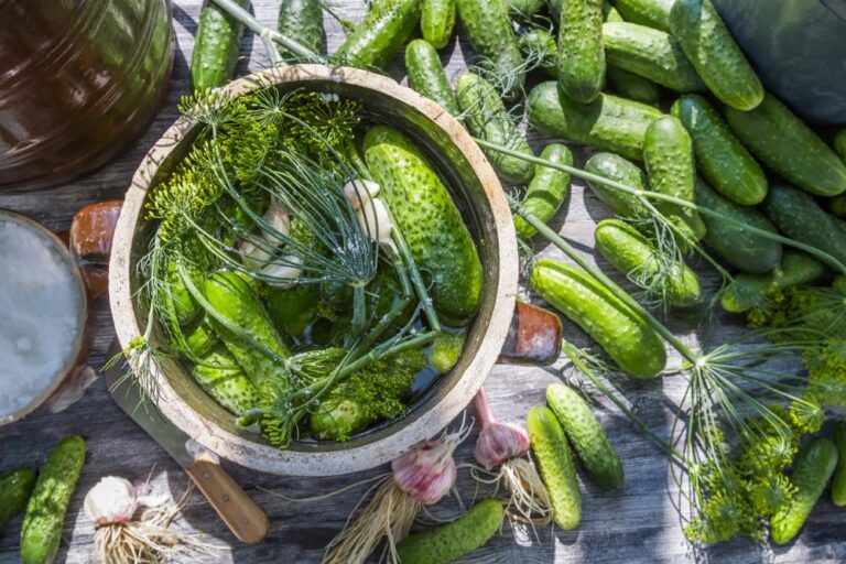 Pickling workshop How to pickle workshops