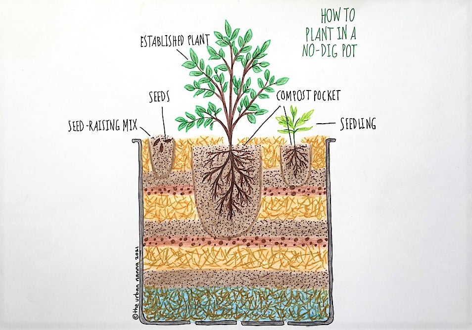 No-Dig Pots: DIY Way to Grow Loads of Veggies In Containers - Milkwood