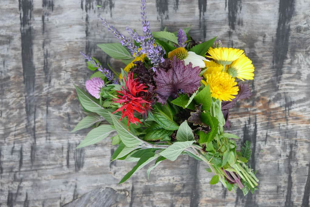 Herbal Tea Posy Milkwood – 4