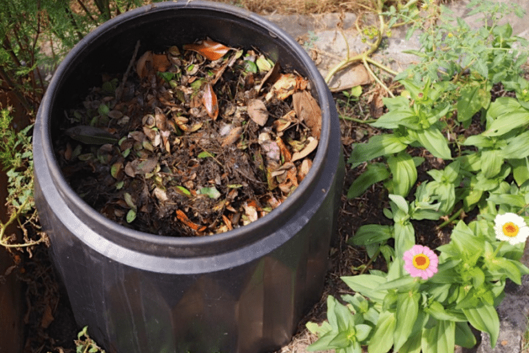 compost-guide-01
