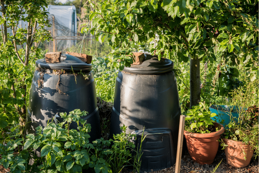 Two black compost bins in an abundant garden.