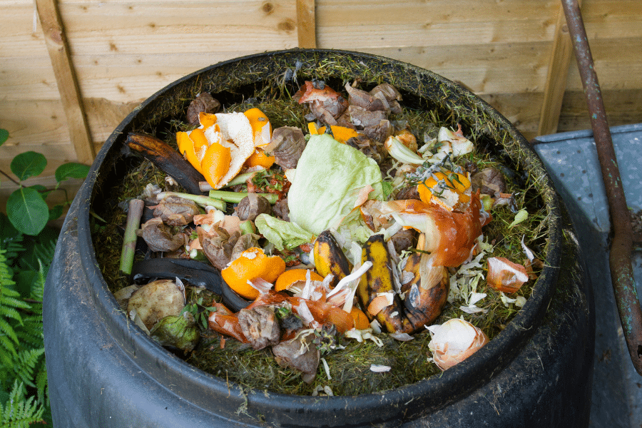 Loads of food scraps inside a black compost bin.