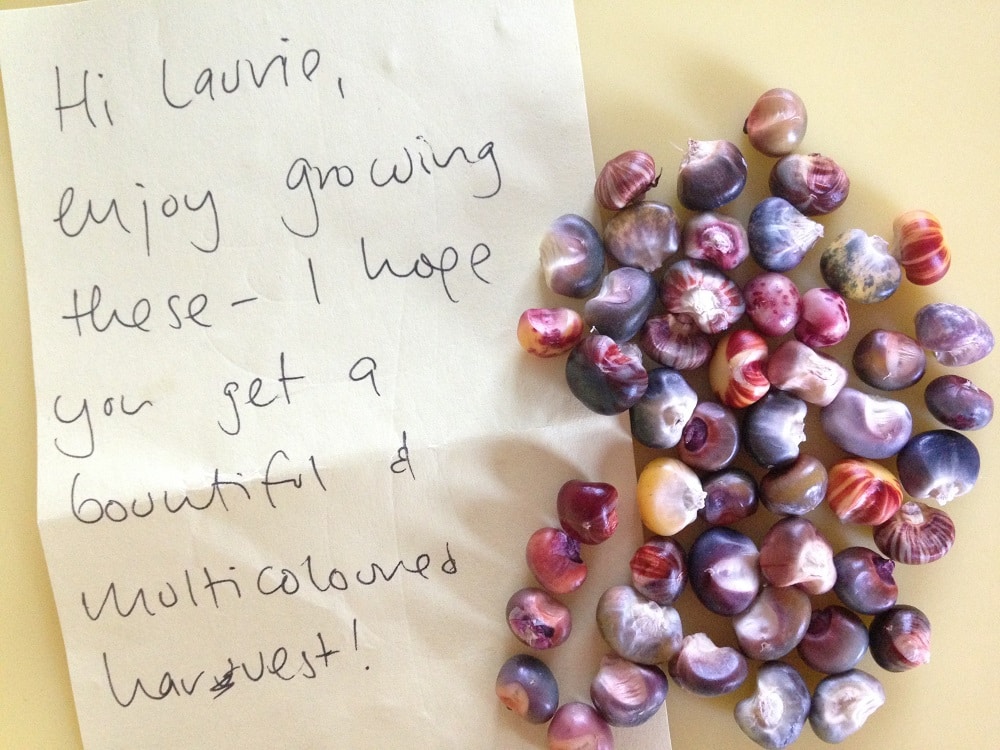 A letter from someone who gifted Laurie seeds during a Crop Swap