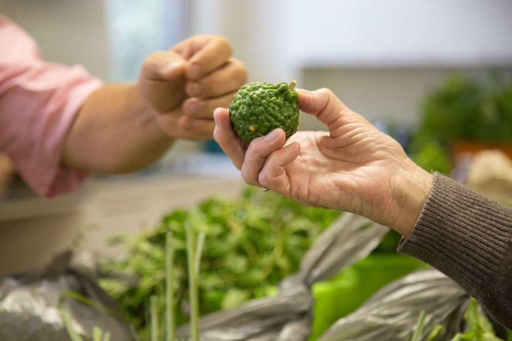 Gardeners exchanging produce at a crop swap