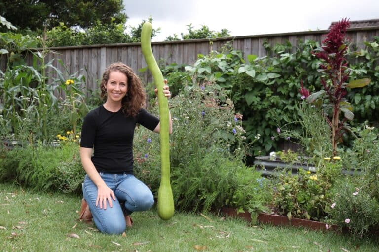 A student kneeling in her home vegetable garden