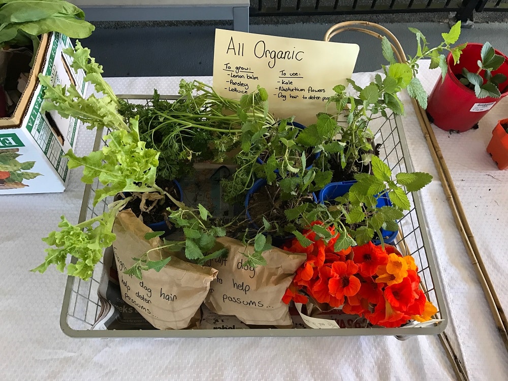 Organic produce ready to be exchanged during a crop swap meeting