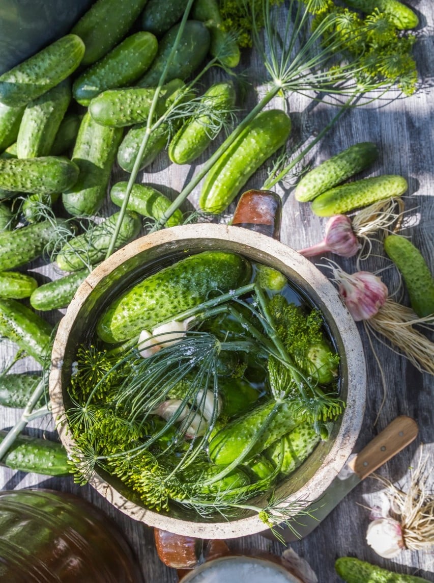 Learning to pickle veggies is a simple way to get started with permaculture living 1 Learning to pickle veggies is a simple way to get started with permaculture living
