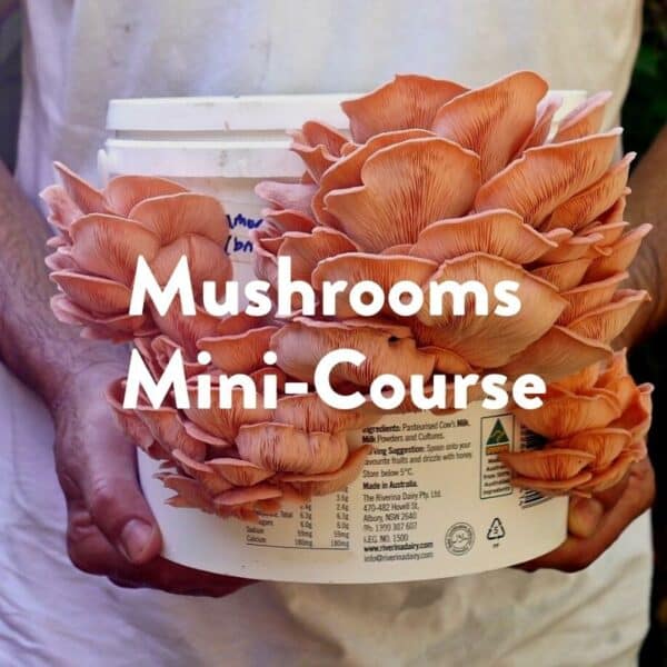 Mushrooms Mini-Course