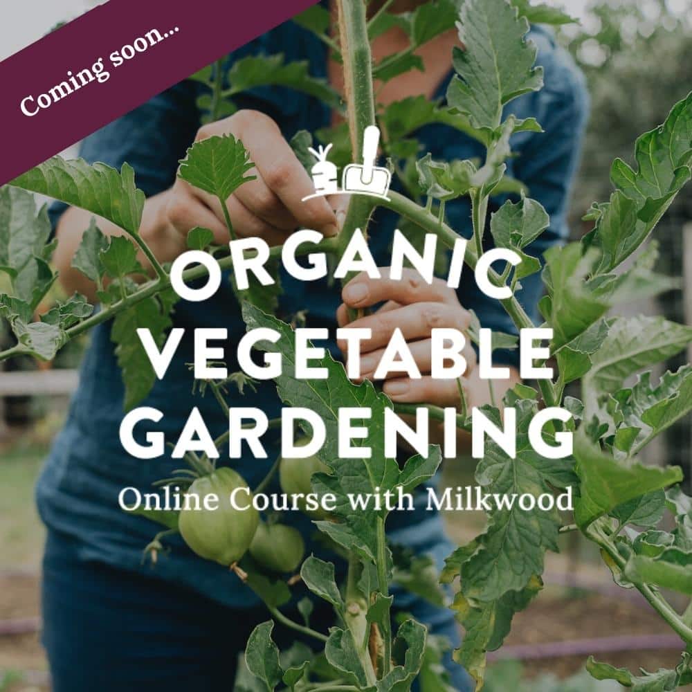 Organic Vegetable Gardening online course - Milkwood - coming soon 1