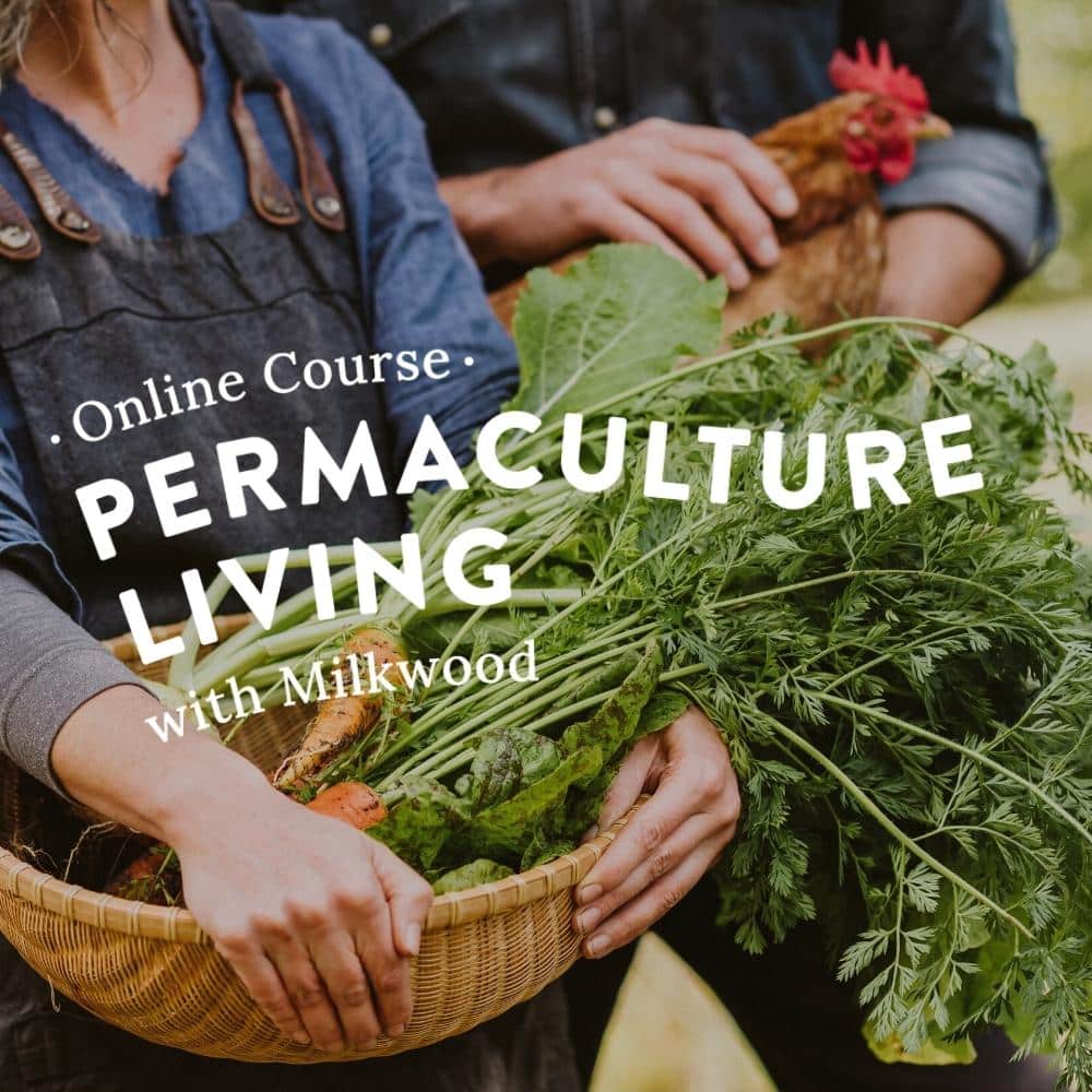 Permaculture Living online course 1