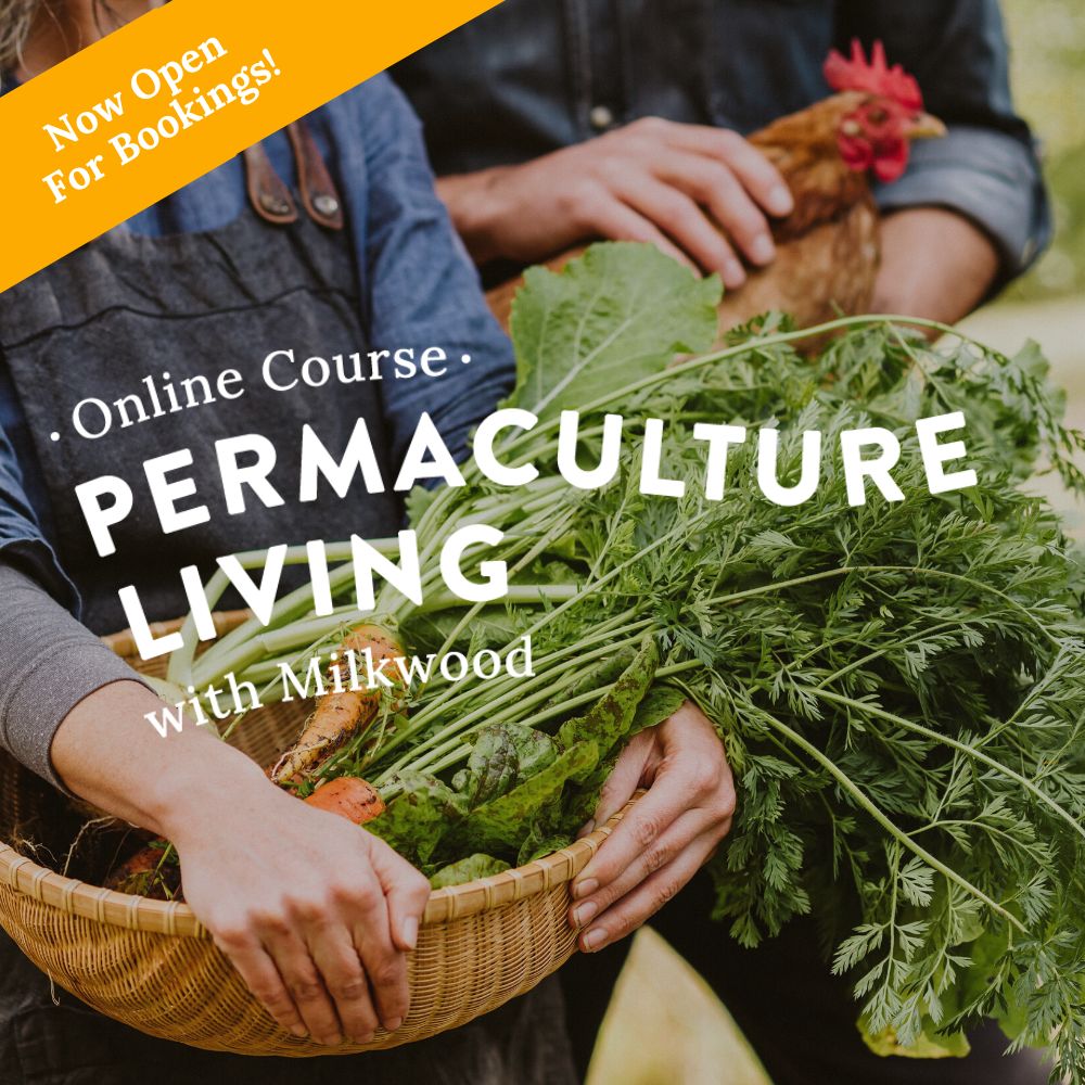 Permaculture Living - now open for bookings