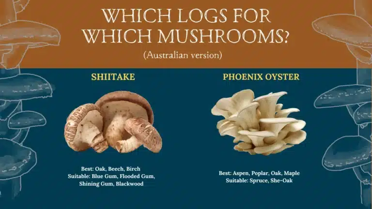 Logs-for-Mushooms-Australia-Milkwood