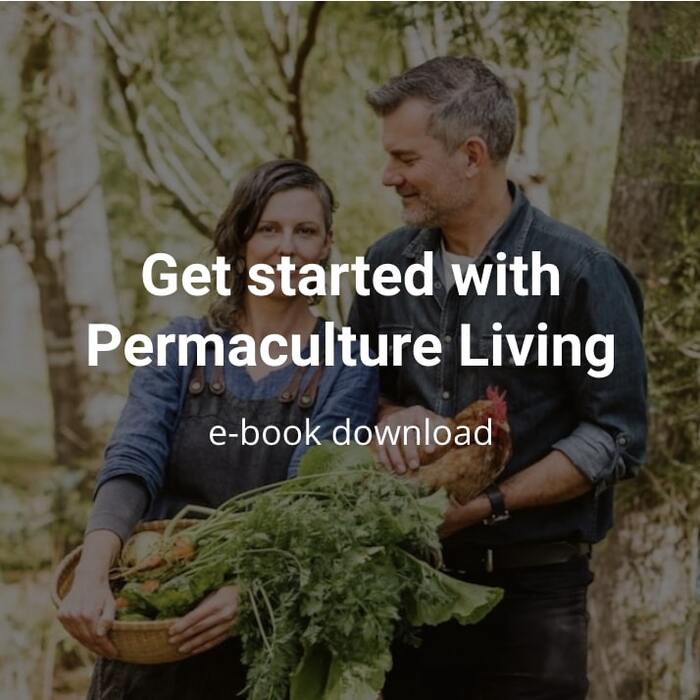 Get started with permaculture living