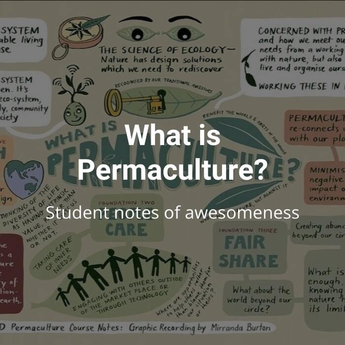 what is permaculture