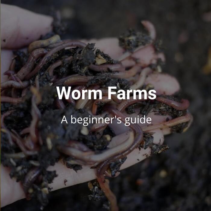 Worm farms