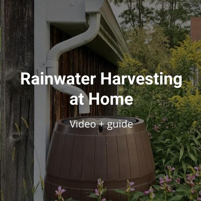 rainwater harvesting