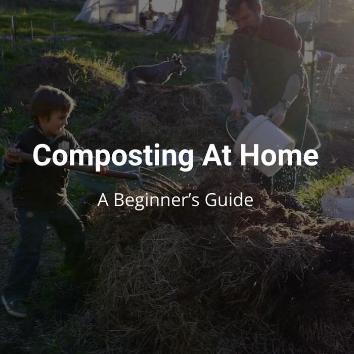 composting at home