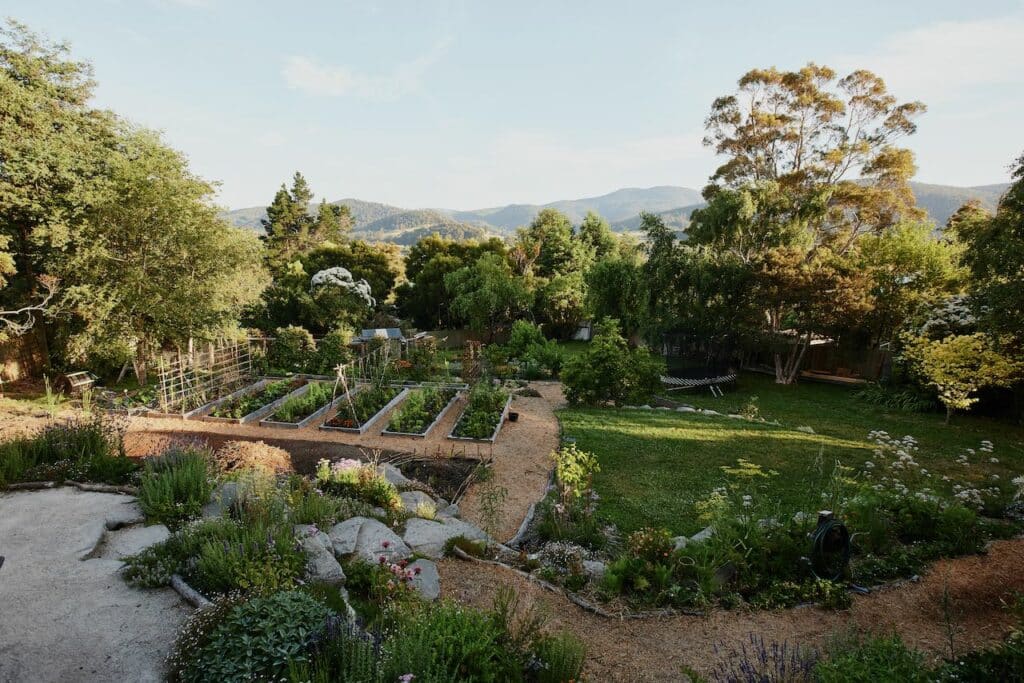 Wide view of a garden with mountains behind and seven vegetable beds in font