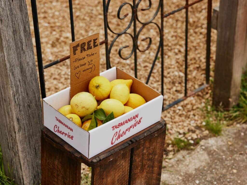 Adventures in pressure canning - Milkwood: permaculture courses