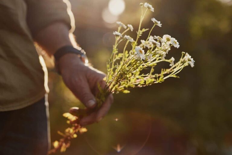 habits-for-hope-1