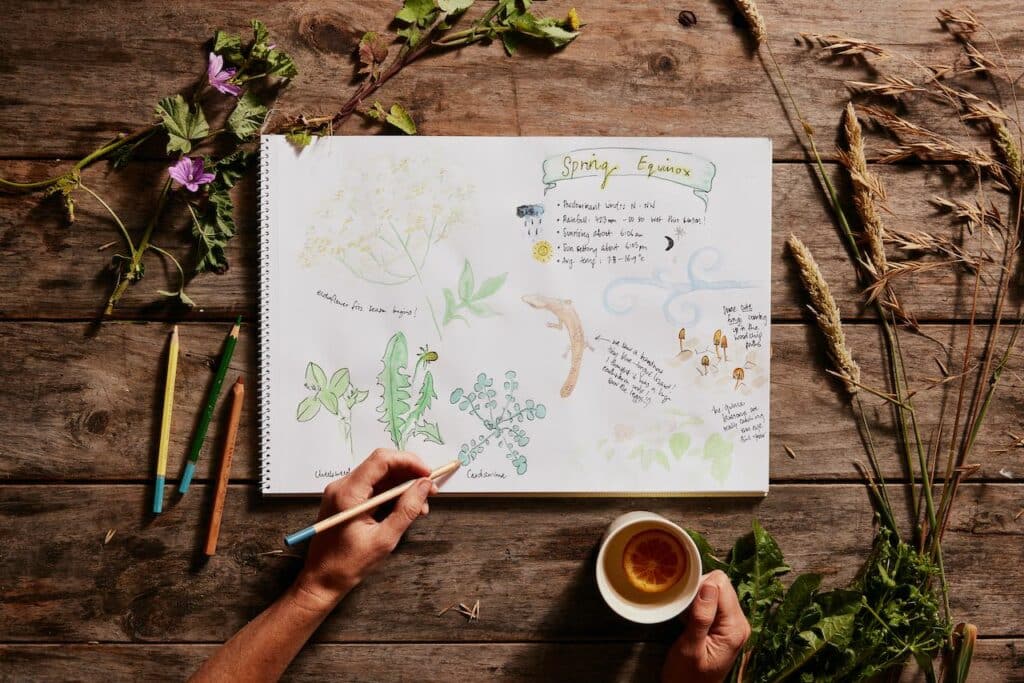 a nature diary open on a table, with a white hand colouring in a green leaf