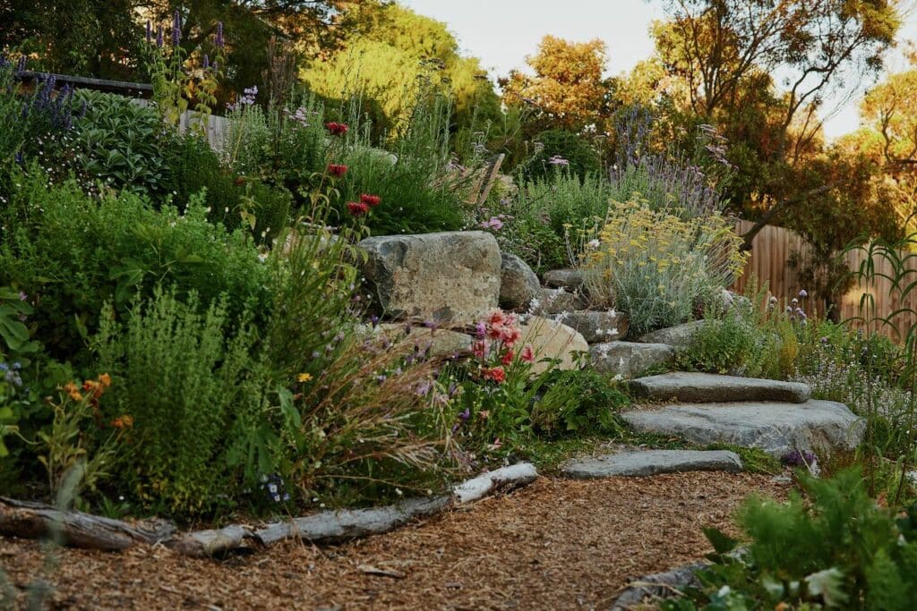 a summer garden full of flowers with stone steps and boulders