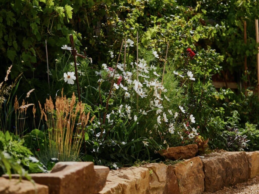 an ornamental garden with rock wall