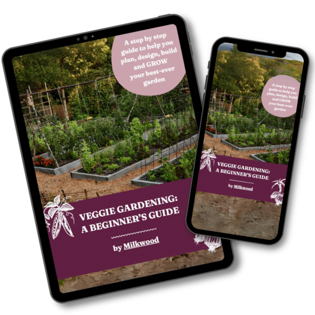 VG LM Guide iPadiPhone Square Veggie Gardening Guide on iPad and iPhone