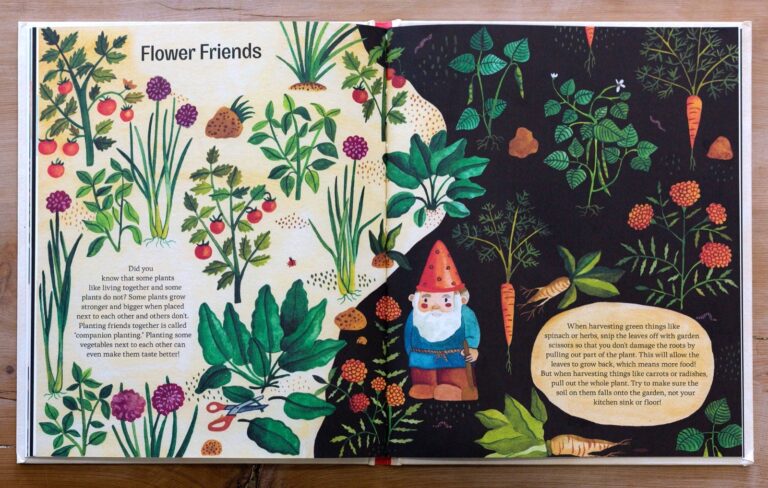 Flower Friends spread on companion planting, illustrated by Aitch
