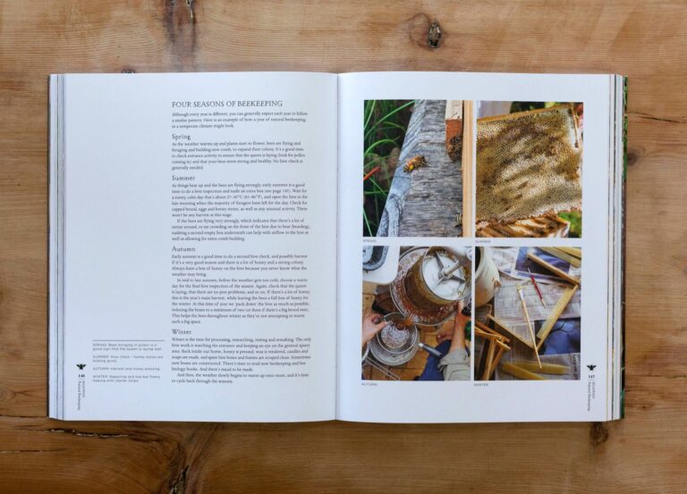 Natural beekeeping spread on the four seasons of beekeeping, with photographs of comb and hive
