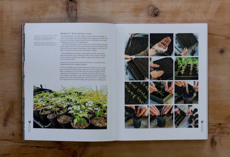 Inside spread on seed raising in trays, with step-by-step photographs