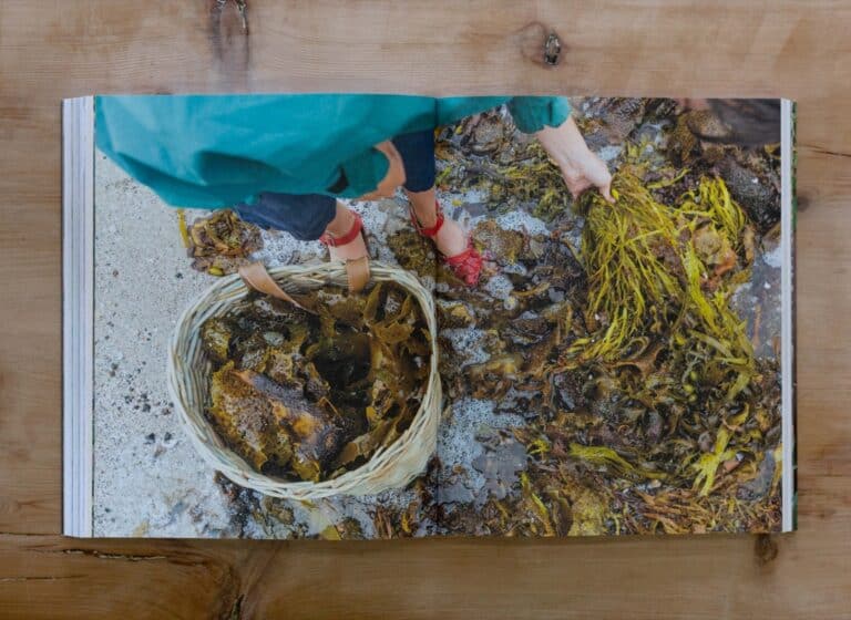 Seaweed chapter spread, gathering golden kelp into a cane basket on the rocks